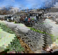 Wynlen House Tour a Unique Urban Regenerative Farm and Market Garden - Hotels Melbourne