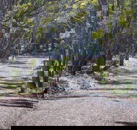 Coolah Tops National Park