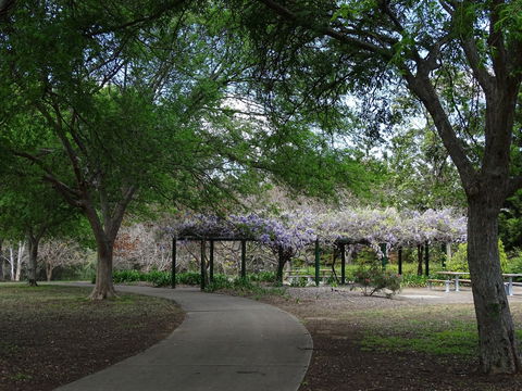 Hanna Park - Hotels Melbourne 1