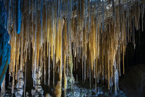 Hastings Caves And Thermal Springs - Hotels Melbourne 0