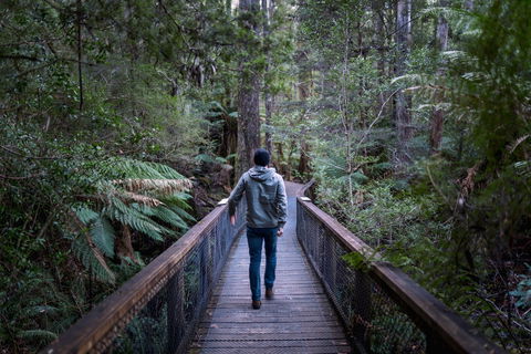 Hastings Caves And Thermal Springs - Hotels Melbourne 1