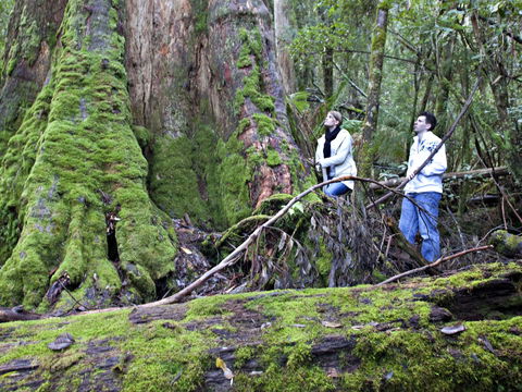 Hastings Caves And Thermal Springs - Hotels Melbourne 2