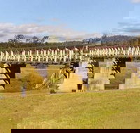 Historic Tabulam DeBurgh Timber Bridge - Hotels Melbourne