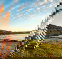 Killalea Reserve - Hotels Melbourne