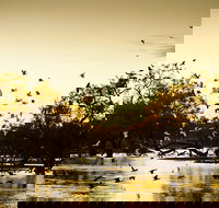 Kinchega Homestead Billabong Walk - Hotels Melbourne