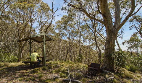 Mount Barrington Picnic Area - Hotels Melbourne 0