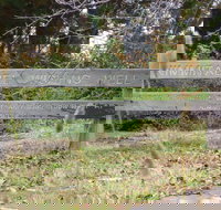 Nimmitabel Heritage Walk