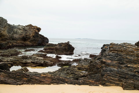 Snorkelling Mystery Bay - Hotels Melbourne 1