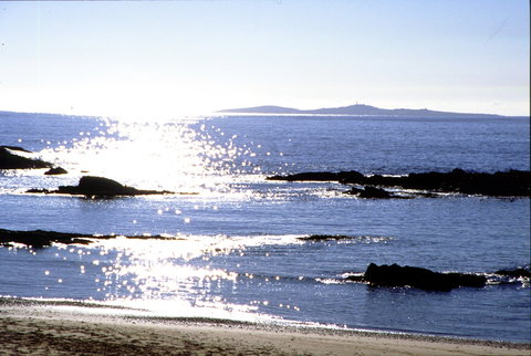 Snorkelling Mystery Bay - Hotels Melbourne 2