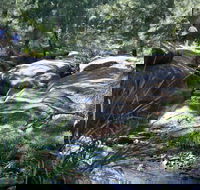 Towarri National Park - Hotels Melbourne