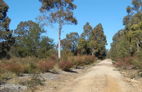 Werakata National Park - Hotels Melbourne 0