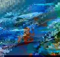 Cairns Aquarium - Hotels Melbourne