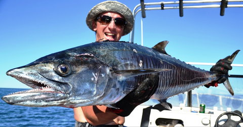 Mackerel Islands - Hotels Melbourne 2