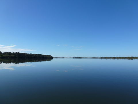 Manning River - Hotels Melbourne 0