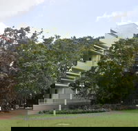 State Square Banyan Tree - Hotels Melbourne