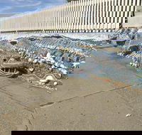 The Nambucca Heads Mosaic - Hotels Melbourne