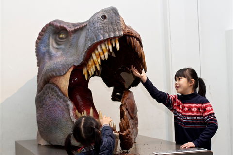 Australian Museum - Hotels Melbourne 0