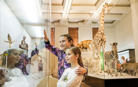 Australian Museum - Hotels Melbourne 1