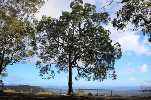 Heaton State Forest - Watagan Mountains - Hotels Melbourne 2