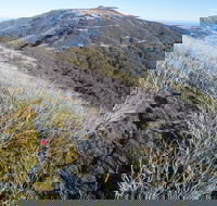 Mt Buller Bike Park - Hotels Melbourne