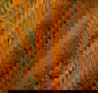 Newcastle Waters - Hotels Melbourne