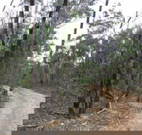 Paddys Ranges State Park