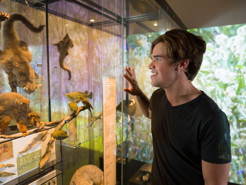 Queensland Museum - Hotels Melbourne 0