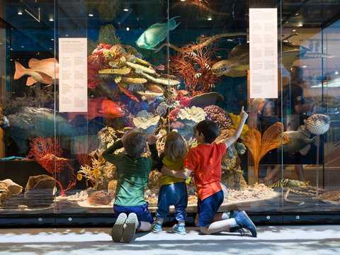 Queensland Museum - Hotels Melbourne 1