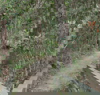 Springwood Conservation Park