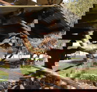 Walcha Open Air Gallery