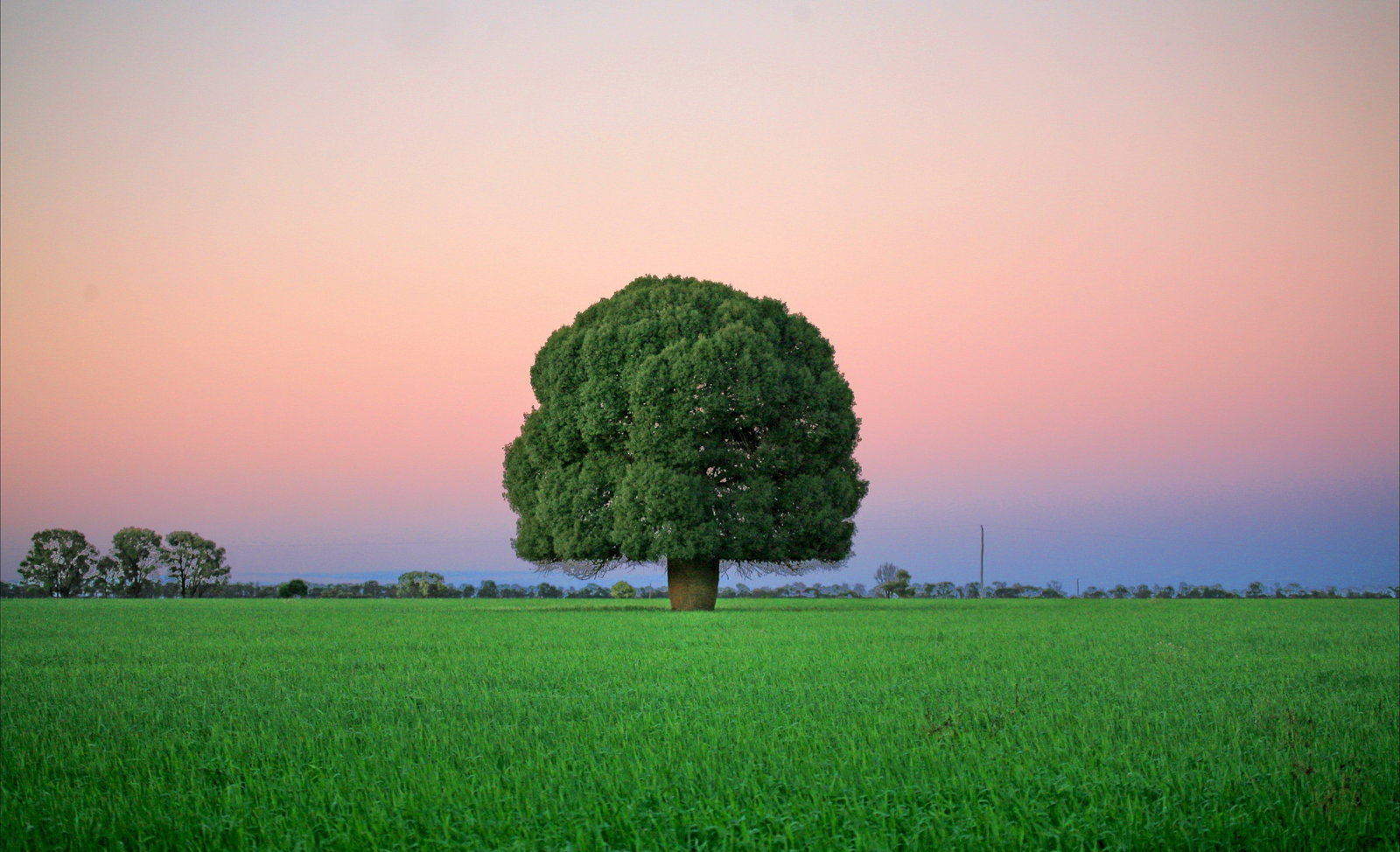 Condamine QLD Hotels Melbourne