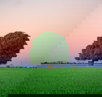 Condamine - Hotels Melbourne