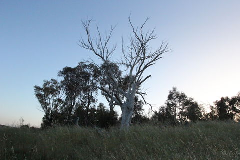 Cooleman Ridge - Hotels Melbourne 1