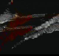 Eagle Rock Marine Sanctuary