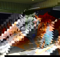 Iris Lodge Alpacas - Hotels Melbourne