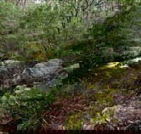 Mongarlowe River picnic area - Hotels Melbourne