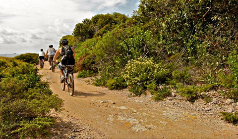 Mountain Biking Trails - Hotels Melbourne 0
