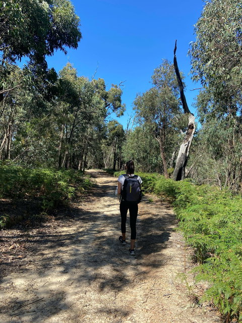 Mt Everard Circuit - Hotels Melbourne 0