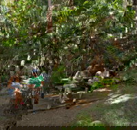 Palms picnic area - Hotels Melbourne