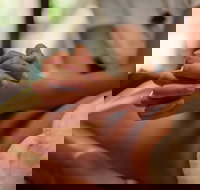 Prani Glow Day Spa - Hotels Melbourne