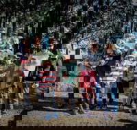 State Forests of the Watagan Mountains - Hotels Melbourne