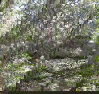 Tallaganda National Park - Hotels Melbourne