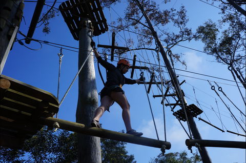Trees Adventure Nowra Park - Hotels Melbourne 0