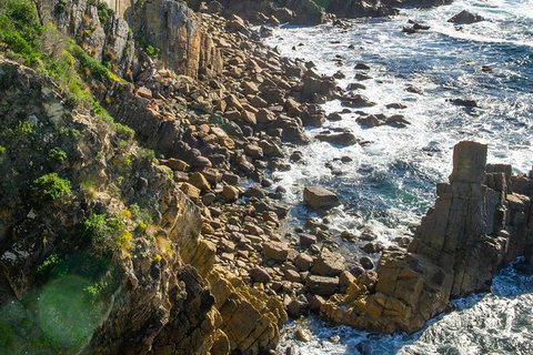 Beaches Of Eden Photographic Discovery Tours - Hotels Melbourne 21