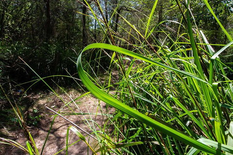 Beaches Of Eden Photographic Discovery Tours - Hotels Melbourne 22