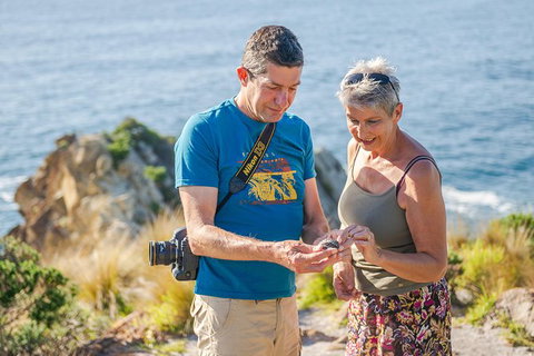 Beaches Of Eden Photographic Discovery Tours - Hotels Melbourne 18