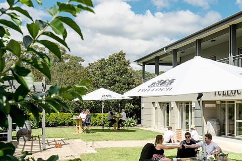 Tulloch Wines- Premium Museum Aged Wine Tasting With Cheese And Charcuterie - Hotels Melbourne 7