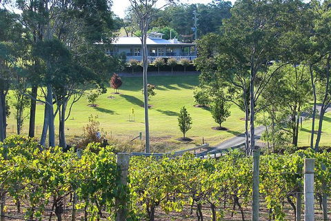 Tulloch Wines- Premium Museum Aged Wine Tasting With Cheese And Charcuterie - Hotels Melbourne 5