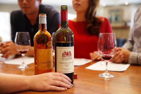 Tulloch Wines- Premium Museum Aged Wine Tasting With Cheese And Charcuterie - Hotels Melbourne 6