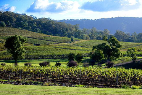 Ivanhoe Wines: Trip Advisor Seated Wine Tasting Masterclass - Hotels Melbourne 4